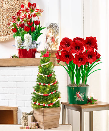 A Season to Remember 