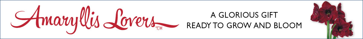Amaryllis Lovers